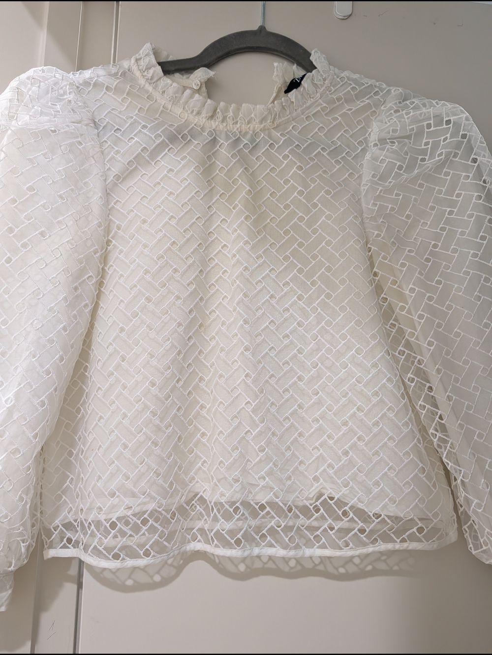 Zara White Embroidered Lace Sheer Layer Blouse